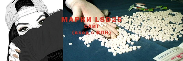 крисы Бугульма