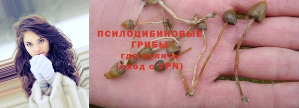 MESCALINE Бородино