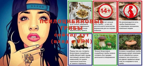 молекула духа Бронницы