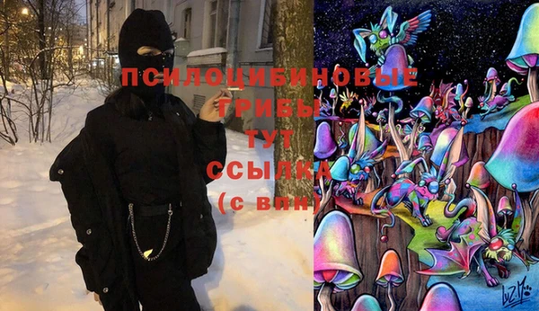 MESCALINE Бородино